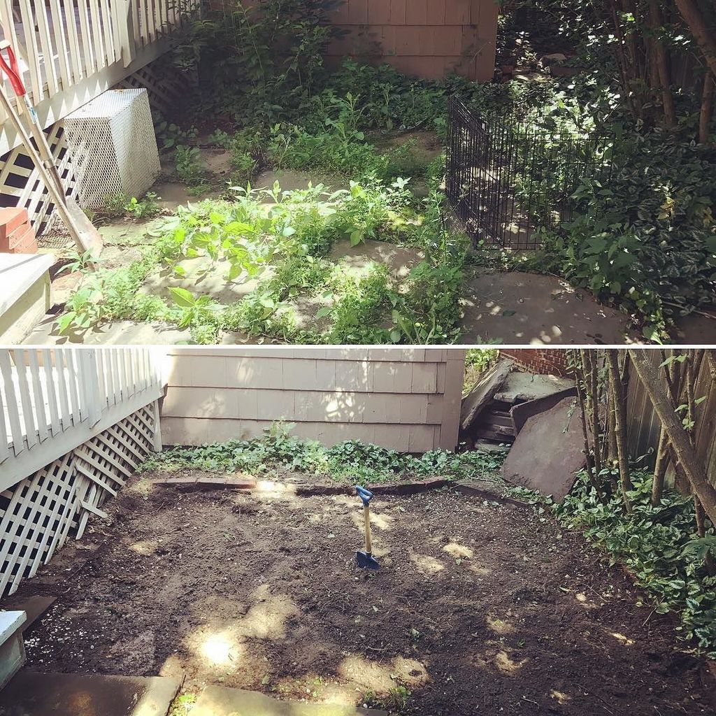 WintzWeather's tweet photo. Before and after shot of a space we have by our back deck! Emmies been busy today! #beforeandafter #garden #sandbo… https://t.co/35UPb8dFRg https://t.co/CVsSLa7X0m