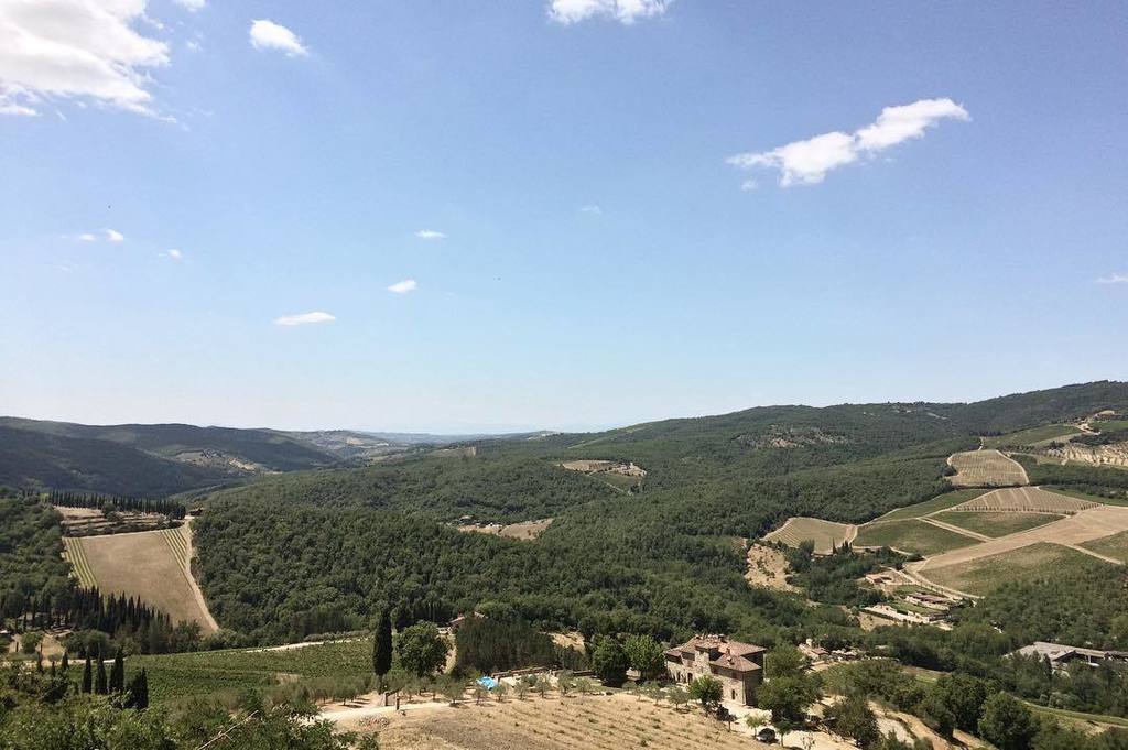 LIME_LICK's tweet photo. Tuscany. The most beautiful "green" I ever seen. 
#green #skyline #view #nature #hills #ilovenature #tuscany #amaz… https://t.co/9KuZav6WzG https://t.co/MsN4K8DVk4