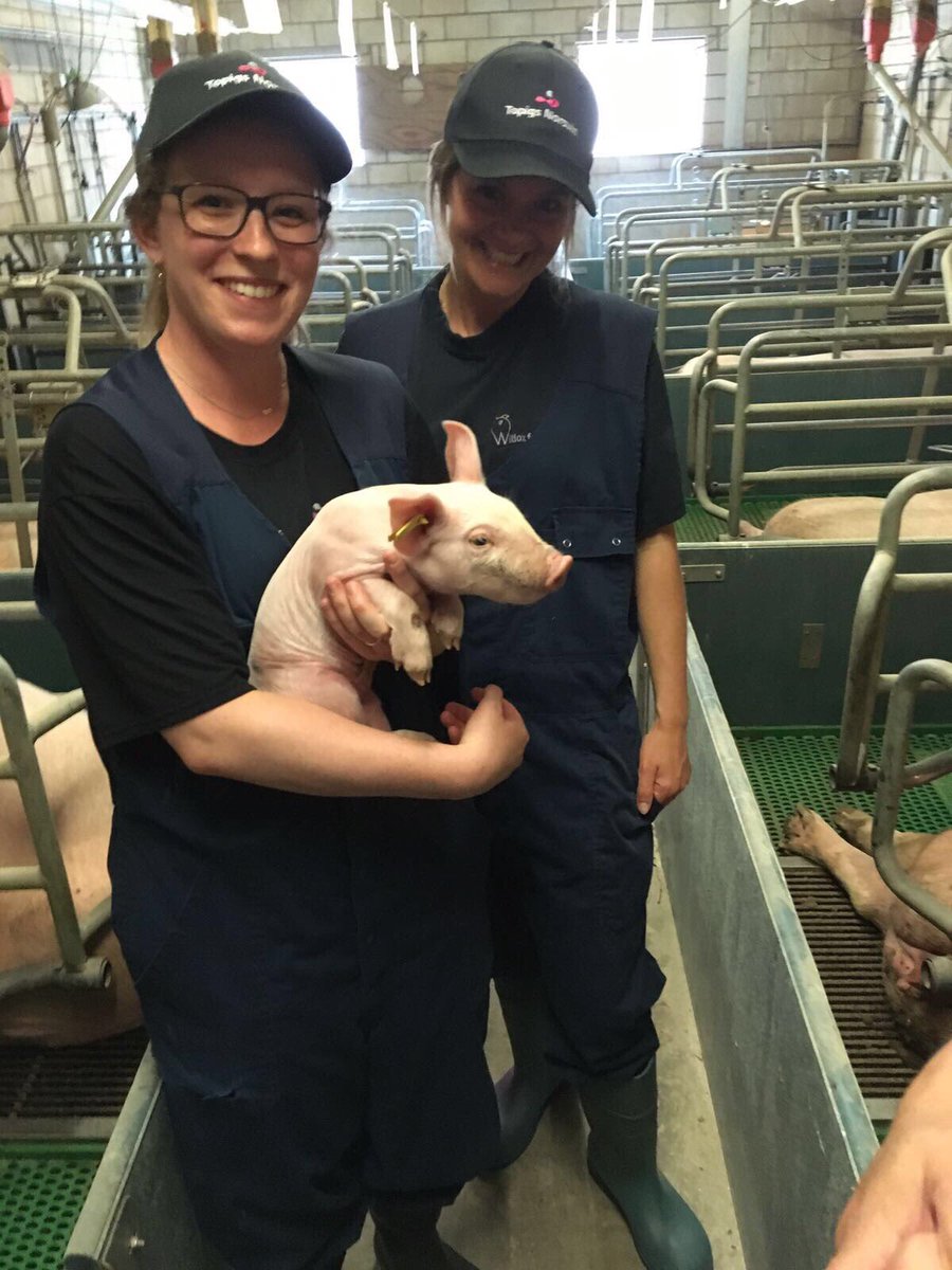Miloudelaat's tweet photo. René en Miriam, bedankt voor de interessante rondleiding op jullie bedrijf Witlox Fokvarkens in #Haaren #Kieketon @ZLTOdeleye   @nthewissen https://t.co/0sS3rLNyDD
