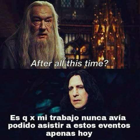 Harry Potter™▕⃝⃤ ⚯ ͛ tweet media