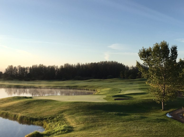 Our friends at the <a href="/CougarCreekGolf/">Cougar Creek GR</a> want to give you and three friends a FREE round of golf! Follow them and RT this to be entered.