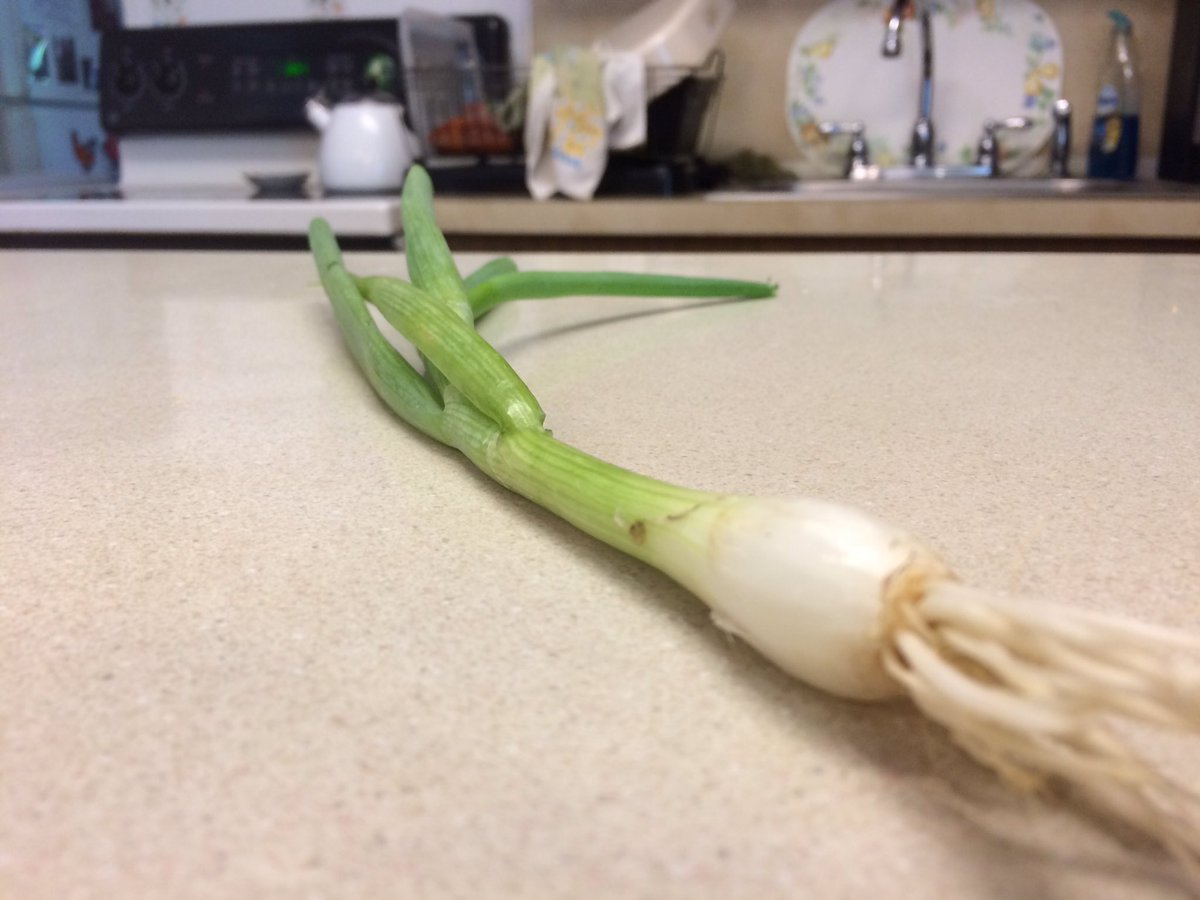 ghoulygrrrl's tweet image. Actually, you were right the first time @KingKullen produce department. #twodifferentthings