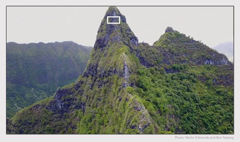 RevistaDroneCL's tweet photo. #RevistaDroneChile En Hawái utilizan drones para encontrar nueva flora en lugares inalcanzables https://t.co/kzn47nkS6S https://t.co/0DqxHpteJN