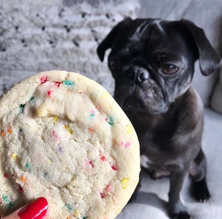 Milk Bar tweet media