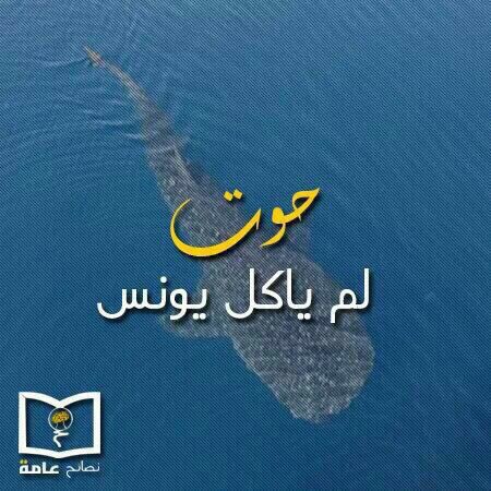 salh_bd's tweet photo. #سبحانك يامن رحمتك وسعت كل شيء،،،،🕊🌸🍃🕊🌸🍃 https://t.co/HSVVt6QX6T
