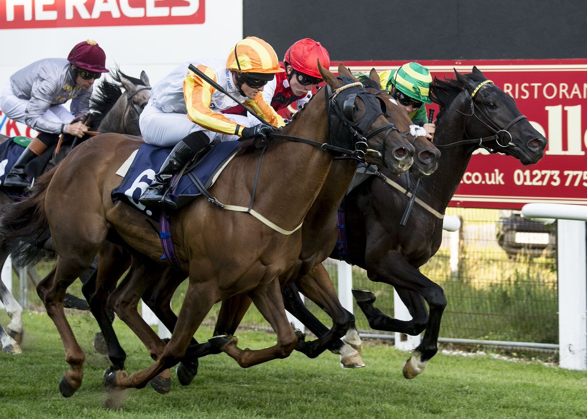 GeorgeHill87's tweet photo. Close finish! @BennettC94 & MOONSTONE ROCK take our second race of the evening @BrightonRace for @jimboyle17 https://t.co/gsSRlmFqNz