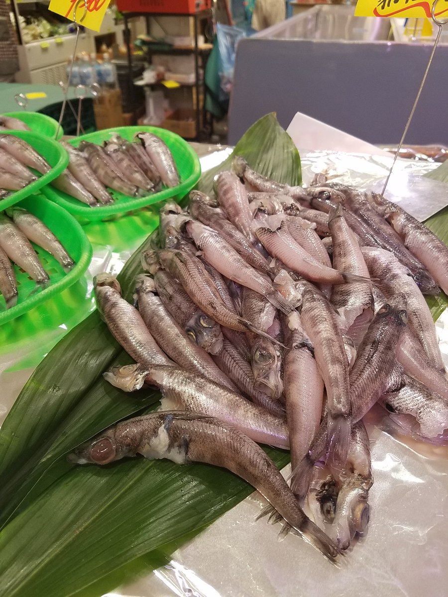 魚市 二子新地鮮魚店 魚市です おはようございます 本日のおすすめ 自家製 銚子産目光一夜干し お刺身は 天然ミナミまぐろ刺身 沖縄産活車海老刺身 佐賀産自家製小肌酢〆 お惣菜は 車海老トマトクリームパスタ ムール貝クラムチャウダー 魚市 二子新地鮮魚店 魚市です おはようございます 本日のおすすめ 自家製 銚子産目光一夜干し お刺身は 天然ミナミまぐろ刺身 沖縄産活車海老刺身 佐賀産自家製小肌酢〆 お惣菜は 車海老トマトクリームパスタ ムール貝クラムチャウダー