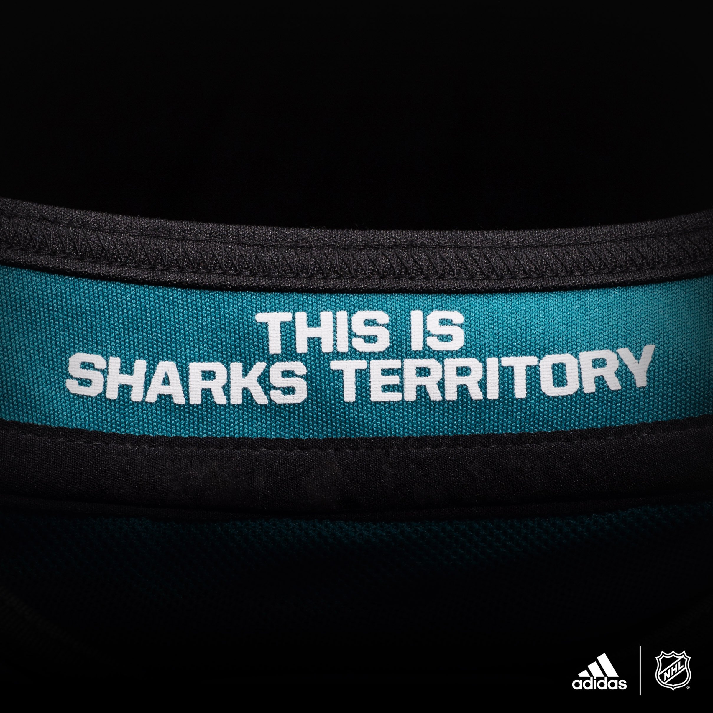 San Jose Sharks on X: You already know 🦭🦈 Here's a closer look