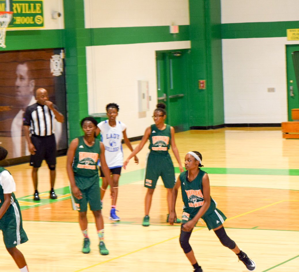 timberland wolves basketball