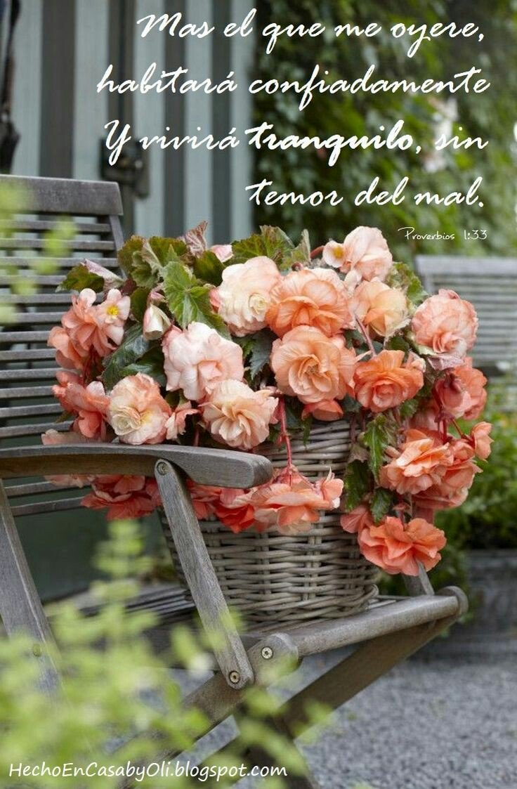 descansen Tranquilos, sin temor del mal Dios cuida de ustedes mis amad@s herman@s y amig@s hasta manaña  !!! 👋