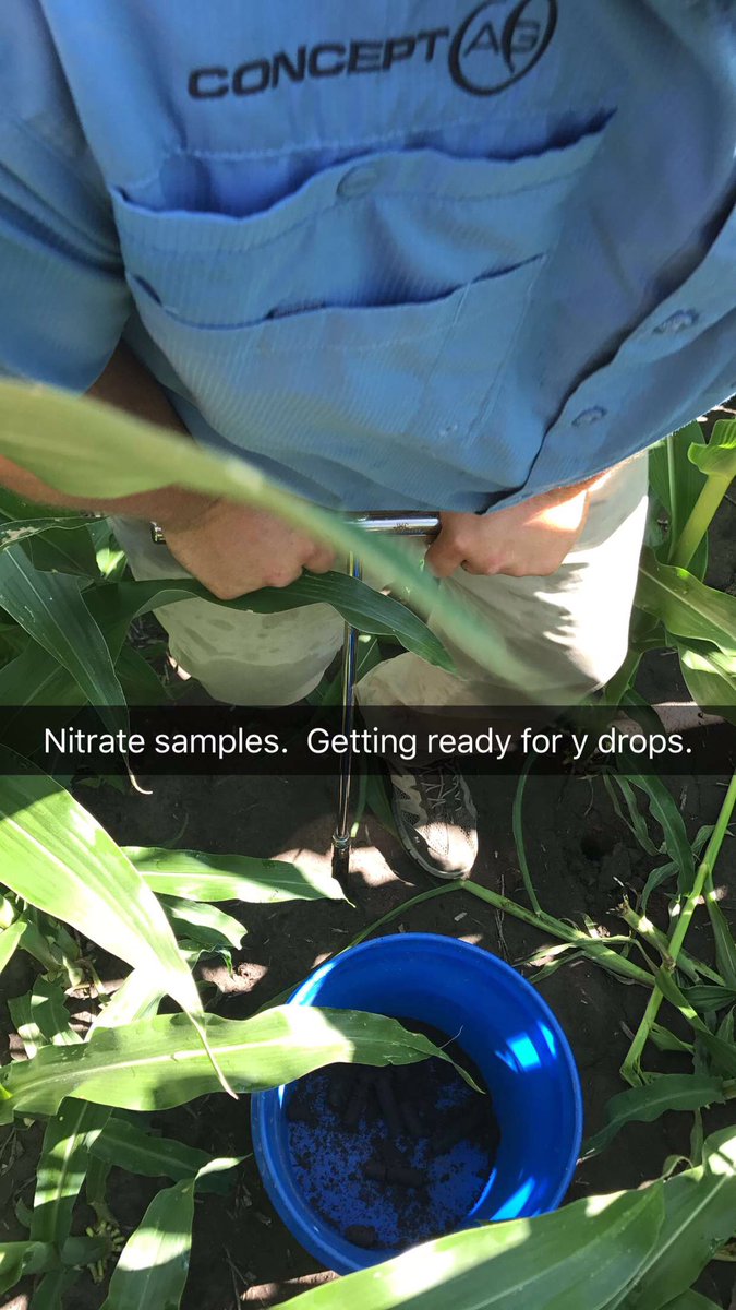 rmhuelsmann's tweet photo. Nitrogen sampling w/ @CKombrk to determine UAN rates for Y Drop application. #ConceptAg #YDrops https://t.co/HOxiR9Z5Yu
