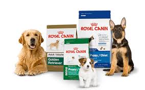 PetsmartLondon's tweet photo. Come join us!Sat. June 24th,Royal Canin in store demo event,free samples,12pm -4pm,$5 coupons for any size of dry royal canin formulas (50) https://t.co/5Trf458RTF