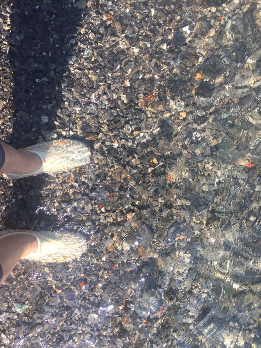 SergioSangio's tweet photo. #Colonno #LakeComo uno spettacolo poter fare il primo bagnetto nel #lario #estate #summer #estate2017 #estate https://t.co/m1siogrzr9
