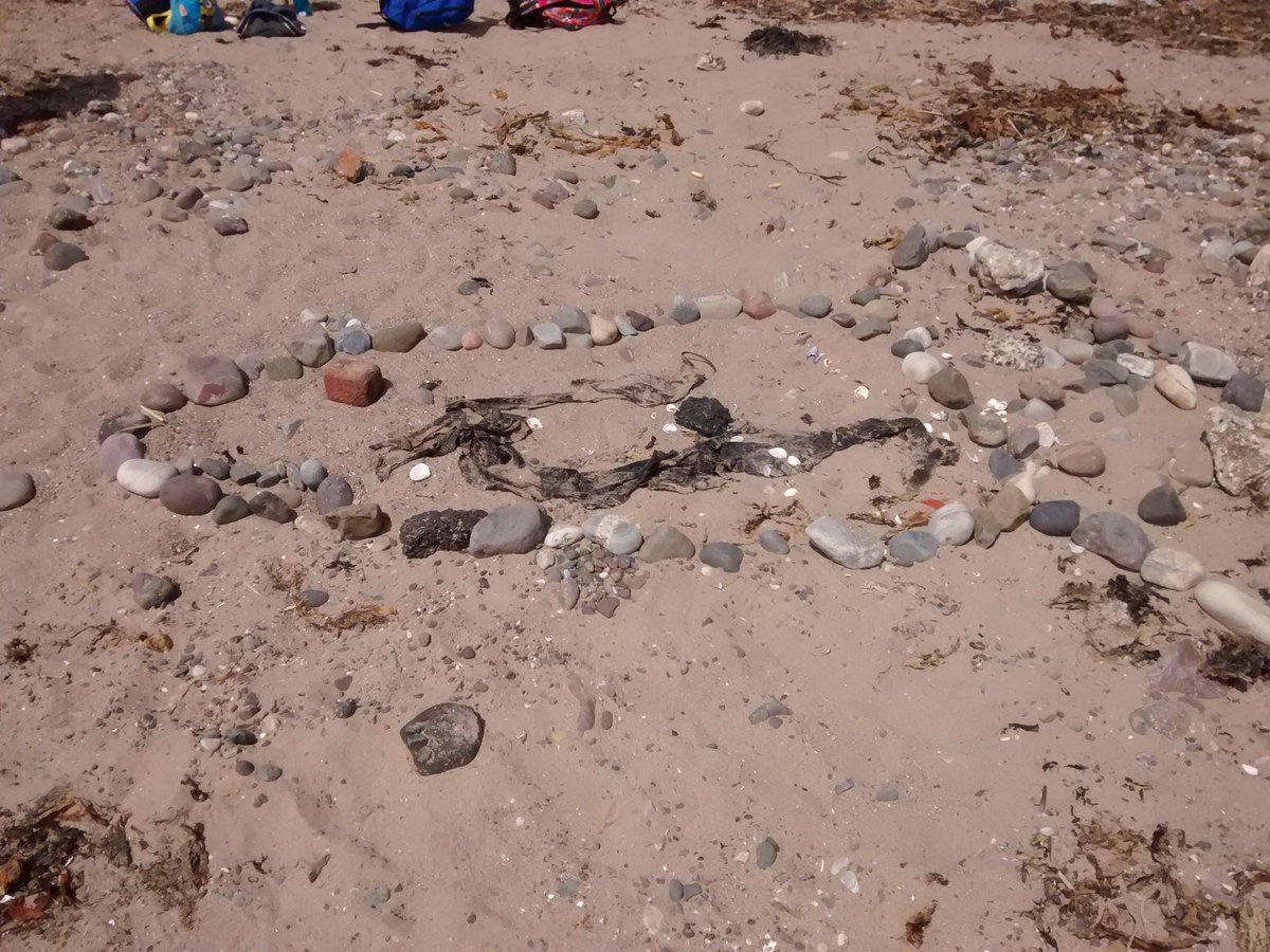 Some more of our trip #castle #beach #naturalart #outdooreducation #funtimes
