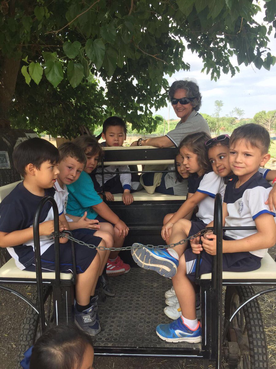 SanJoseTetuan's tweet photo. Infantil ha disfrutado del día en Burrolandia, aprendiendo acerca del cuidado de los burros.
#excursionfinaldecurso https://t.co/Dze0MIR4Fv