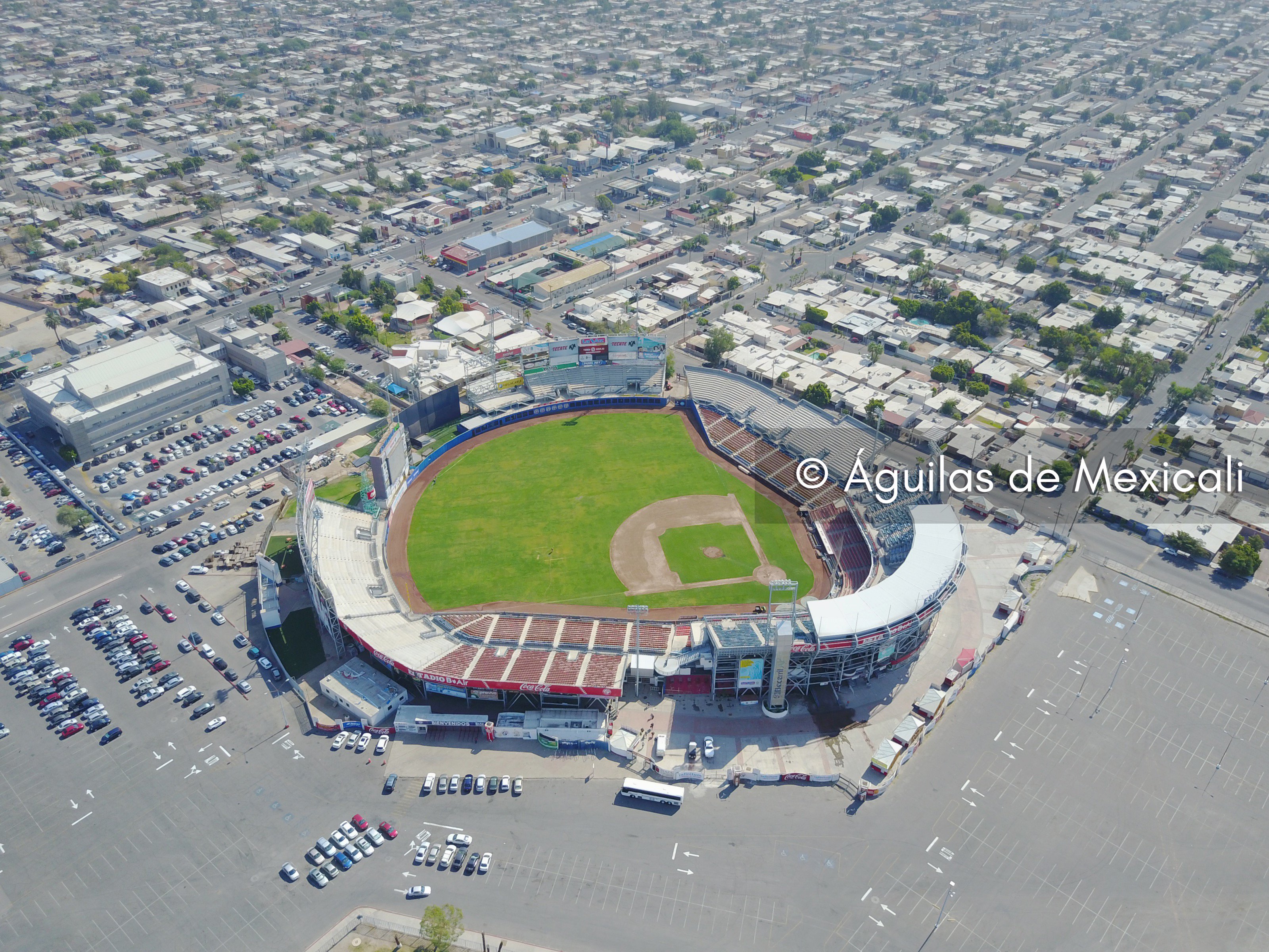 Águilas de Mexicali on Twitter: 