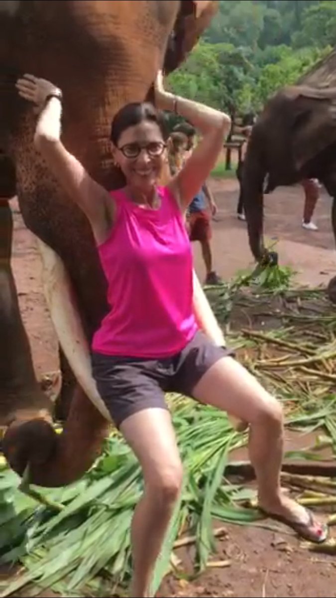 LevineRenee's tweet photo. My elephant lifted me- I challenge you to  post a lift at #alslift https://t.co/uzt2zz95ZM