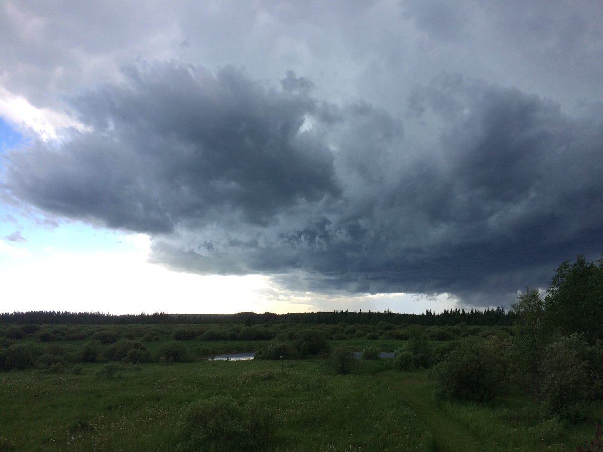 There's a hefty breeze spreading those willow seeds. It's the smell of summer rushing in. #abstorm