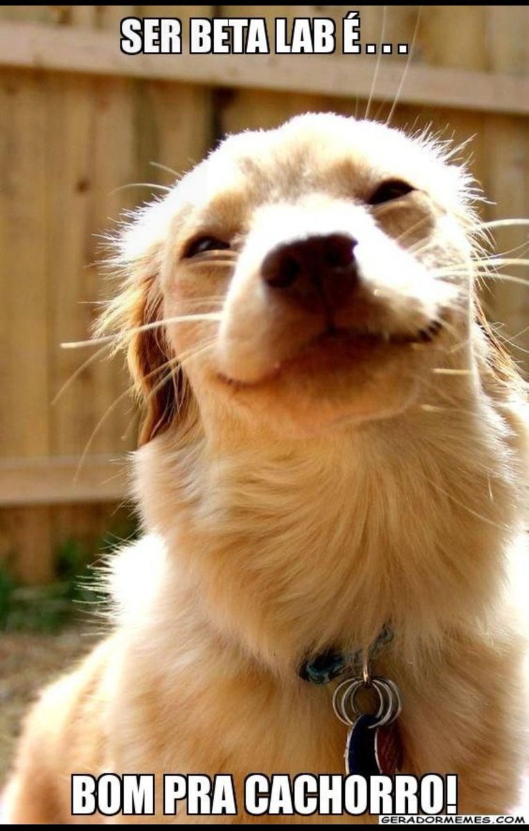 #timbeta
#betaajudabeta
#betalab
#rtprafortalecer