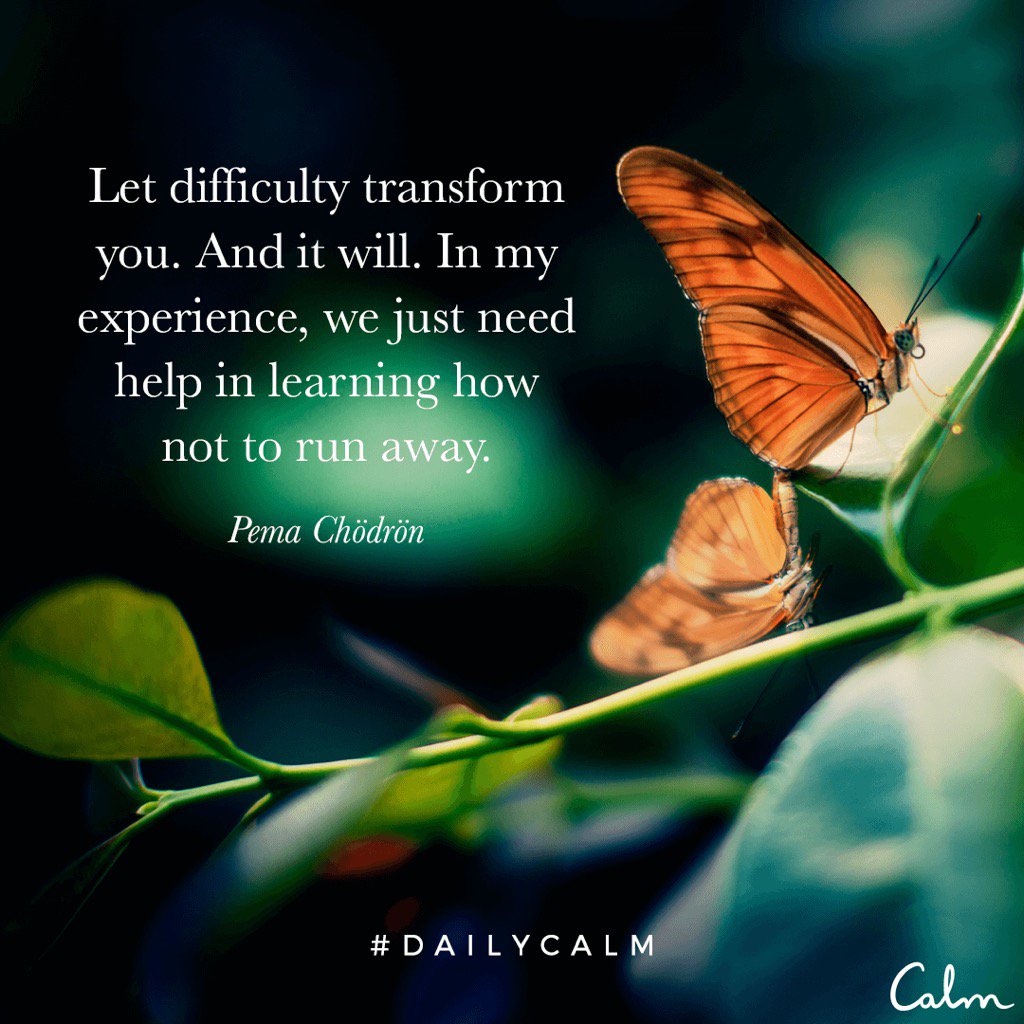 mjlewitt's tweet photo. #DailyCalm @calm https://t.co/zDLLhLS418 https://t.co/rSOwV2KaI0