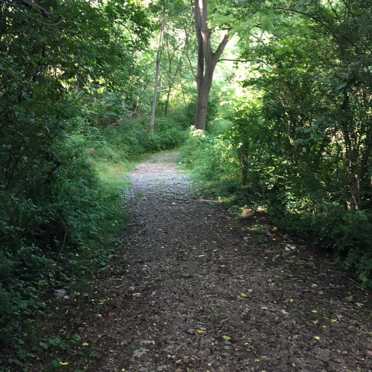 Just finished #trailrunning in @metro_parks #cascadevalley #chuckery it's a primitive trail and I love the severe climbs #summitpeeks