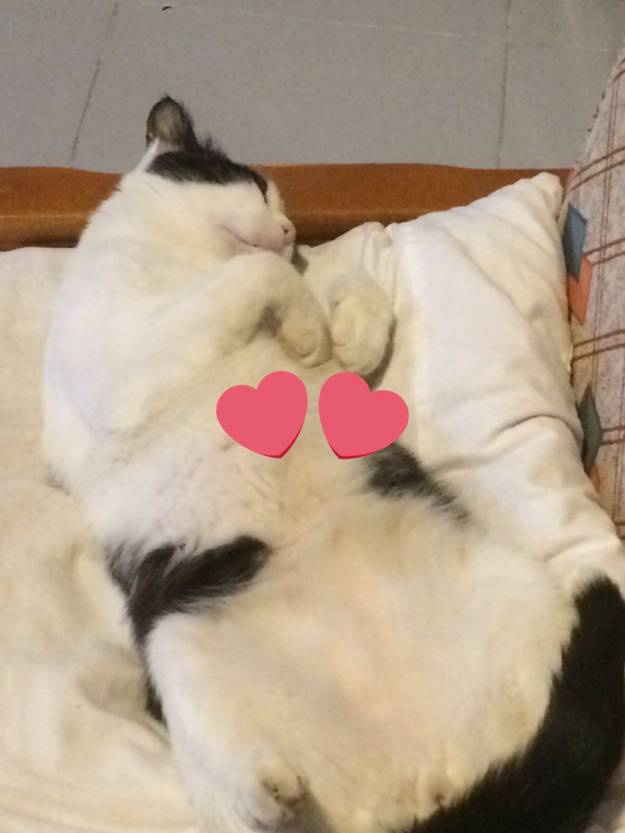 T.C İbrahim Moray tweet media