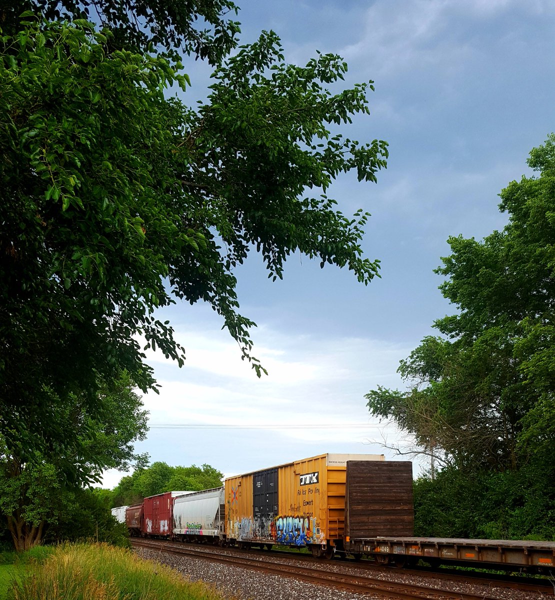 DayAngus's tweet photo. Trains, cows, corn, thunder...all on the 'ole walking trail #stepsdone https://t.co/MNOnwZe0Re
