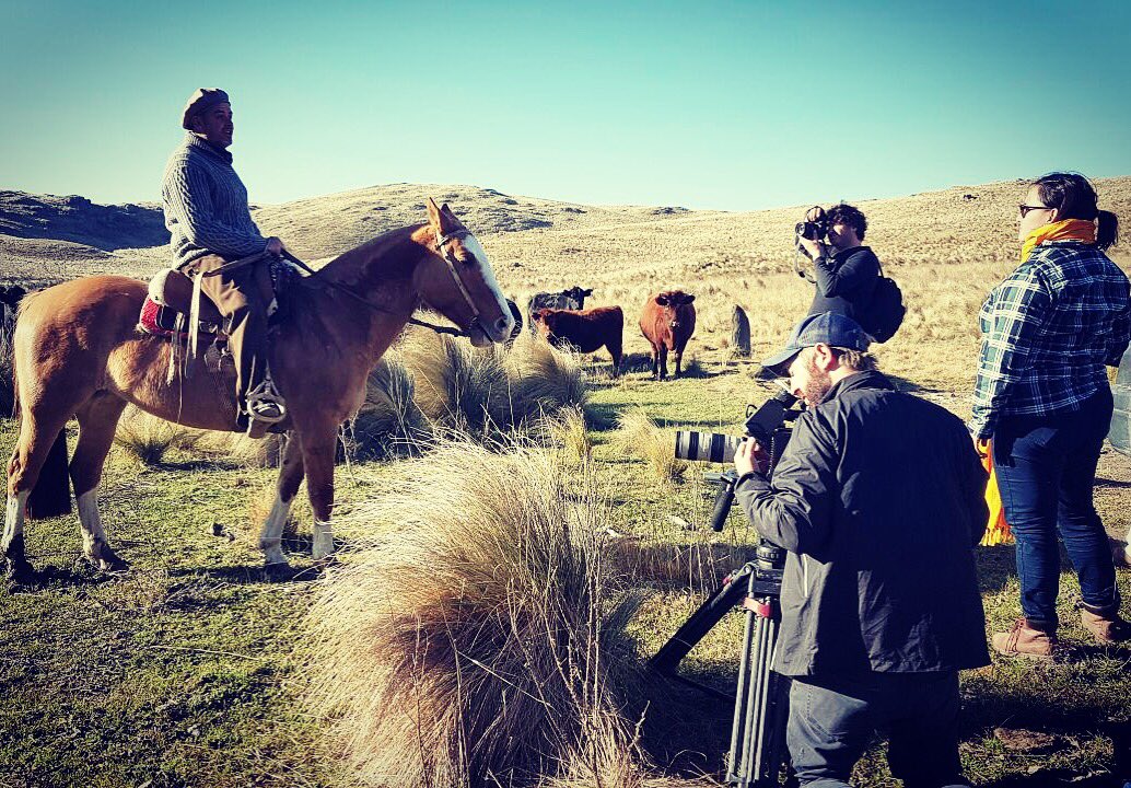 sorrelita's tweet photo. 🎥🐮🐴🇦🇷 My working week. 
#cordoba #gauchos #cowboys #travel #horsesofinstagram #rural #onset #filming #oncamera  #cownews #journalist https://t.co/Ne4mUKNLvj