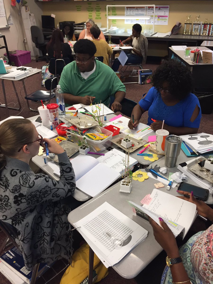 SethHouse6's tweet photo. Day 1 of K-2 Science Training Year 2 at Opelika Middle School. Push &amp; Pull, Wild Organisms, and Plants &amp; Bugs @amstiAUsome #amstiworks https://t.co/arrVAWeX6o