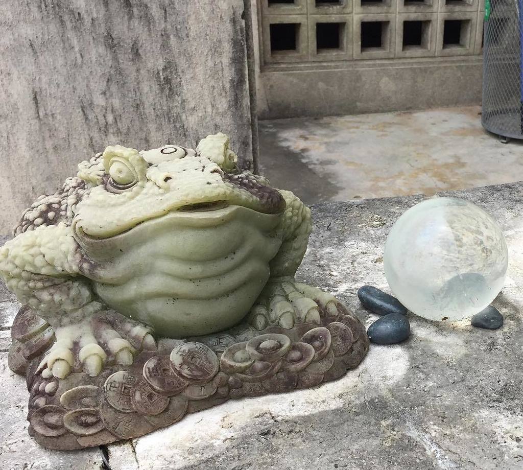 Okinawa_Hai's tweet photo. Can you find the Jade frogs at Naritasan Fukusenji? @istrikhedonia #Olympichustle2020 #internetnjets #Okihai #okil… https://t.co/RrLlmr5vAl https://t.co/uQyb3eUzdn