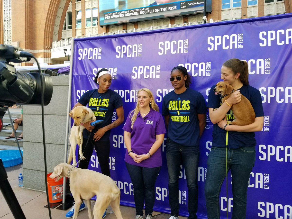 Had a great time hanging with our furry friends today at the <a href="/spcaoftexas/">SPCA of Texas</a> #PawsOnThePlaza helping collect leashes and collars! 🐾