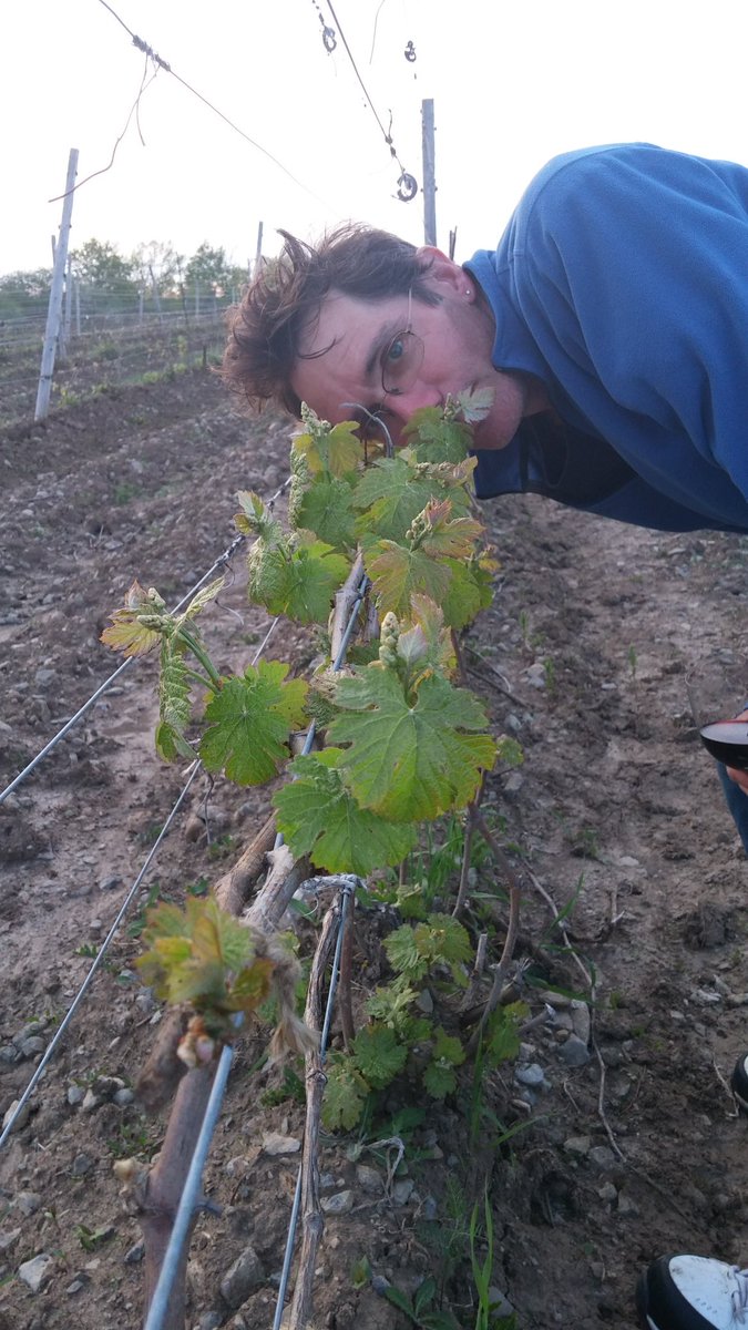 We will deliver anywhere in Ontario if there is an #lcbostrike. Shop online on our website