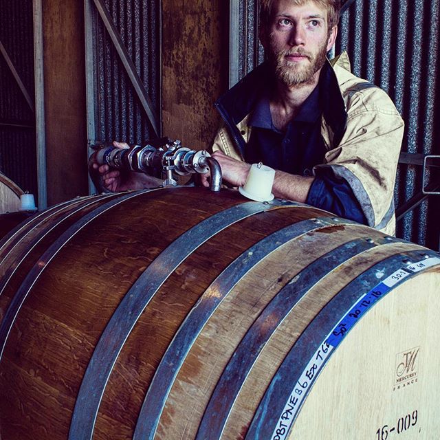 Barrel filling with Chris. Our estate Pinot Noir went into French oak earlier this year. Can't wait!
#pipersbrook #pinotnoir #bluesteel