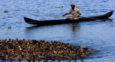 New project! Empower local communities to participate in, &amp; benefit from, #sustainable tourism in South #India. Read ow.ly/tPLV30cJs4z