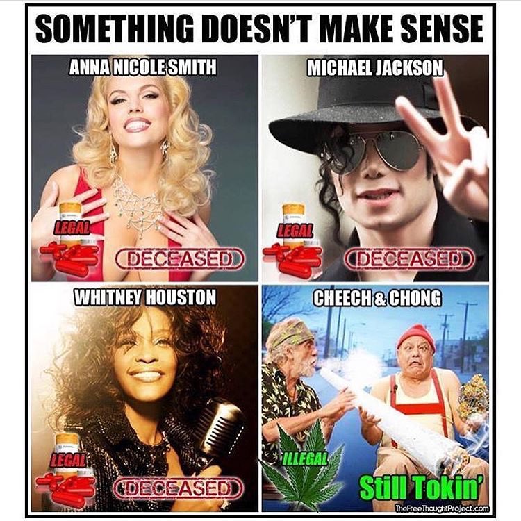 MJ_Wellness's tweet photo. Prescription drug overdoses kill tens of thousands of U.S. citizens every year.... Meanwhile #cannabis is impossible to overdose on. https://t.co/hA56XvfVlw