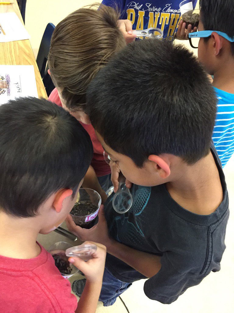 yhelvesia's tweet photo. in a cool classroom....students become great scientists making observations to seeds and plants #philswing#SpecialEd https://t.co/910iFi0DOT