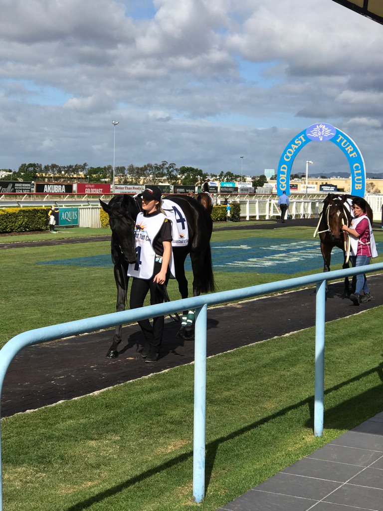 MickDrake6's tweet image. Parading for the 1st @GCTurfClub @EQPAY here all day. Best of luck to all horses and connections #fintech