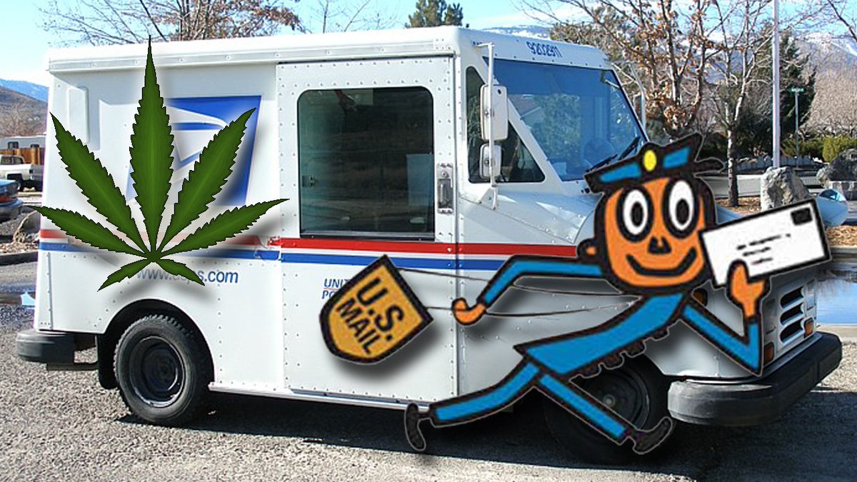 Fla. U.S. Postal Service worker admits to taking cash bribes to deliver drugs bit.ly/2tQVXNO https://t.co/7WEHuOtmOY