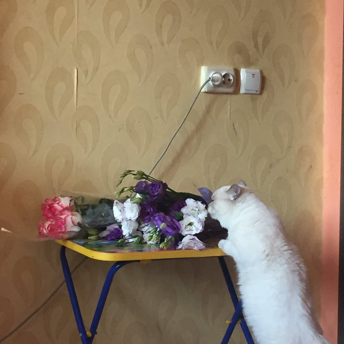 Nastyayeep's tweet photo. mr https://t.co/hRz5OJYpgW