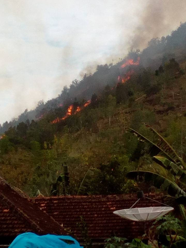 15.25 WIB Kebakaran Lahan di Bukit Kebo Ds.Sambirejo Trenggalek, Pukul 18.40 WIB Berhasil di padamkan <a href="/bpbd_jatim/">BPBD JATIM</a> <a href="/BNPB_Indonesia/">BNPB Indonesia</a>