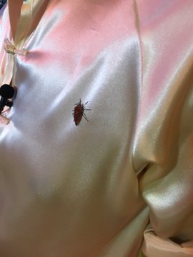 セカオザ 暑くて熱くて厚い夏希望 スピードワゴン小沢 チュートリアル徳井による旅行中ツイートが アツアツ すぎる件 Pouch ポーチ