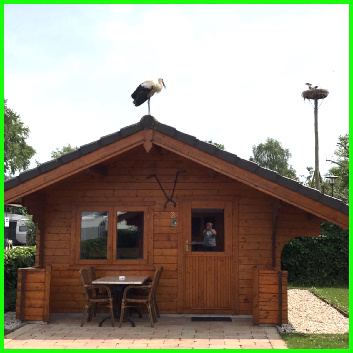 Met of zonder ooievaar?
#trekkershutten. nl