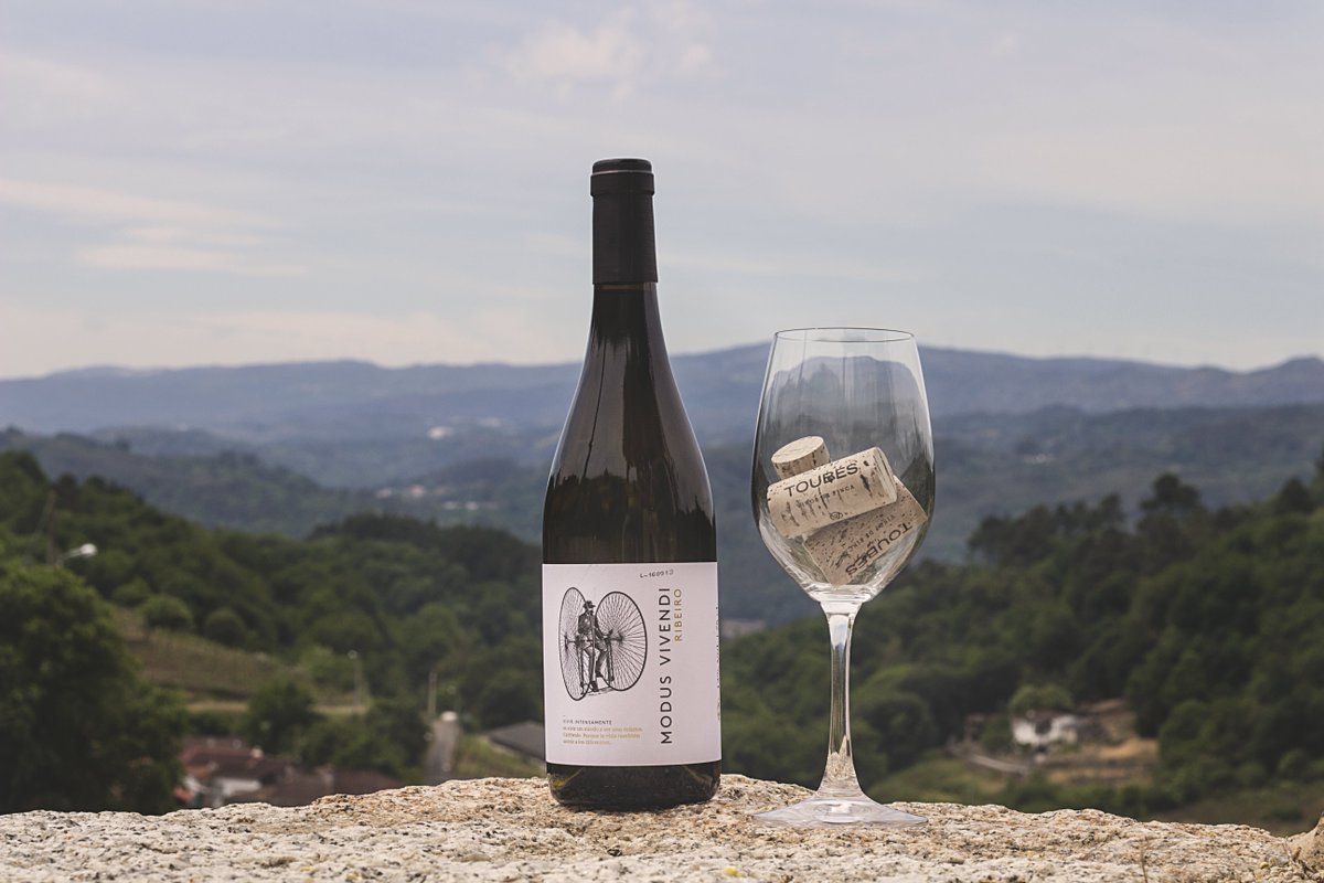 Con estas vistas...¿a quién no le apetece tomarse un #ModusVivendi ? :)
#PazoDeToubes #Riobóo #Ribeiro #Entorno #Finca
