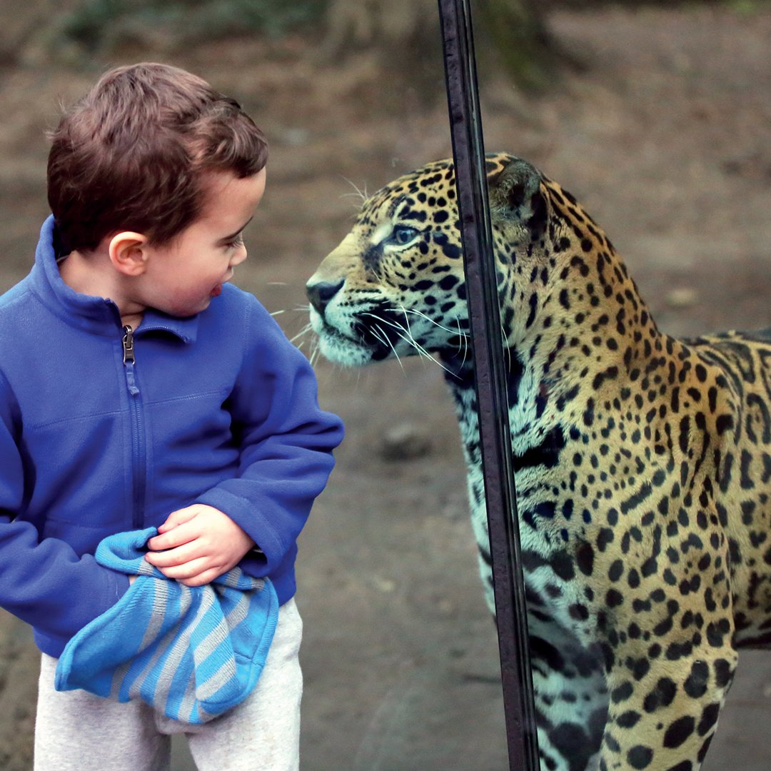 phillyzoo's tweet photo. Does the Zoo change you? Show us! Share your Zoo moments with us on Instagram using #ZooChangesYou and we'll share using our billboards! https://t.co/ixHTN7qxUd