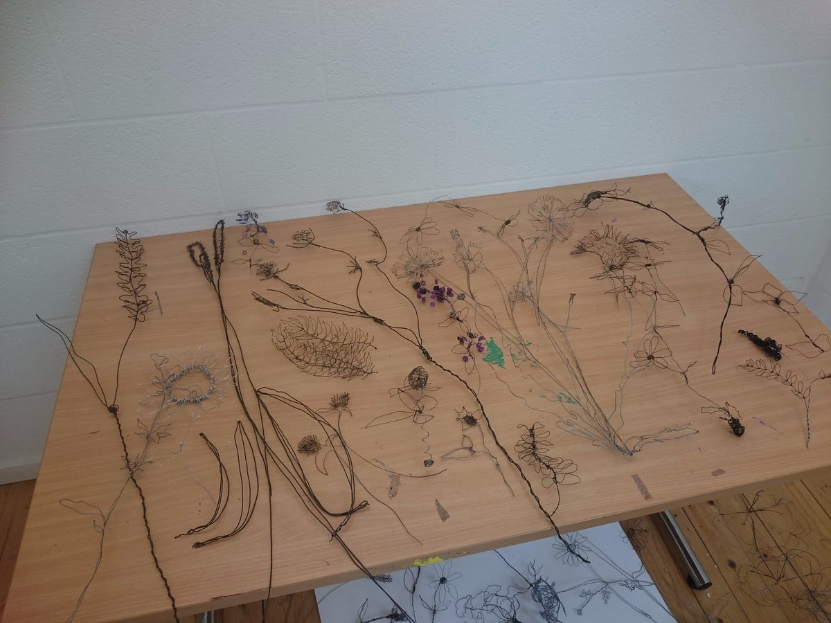 WORuthinCraft's tweet photo. The table now overflowing with pollinators with @HelainaSharpley @WORuthinCraft #ruthincraftcentre #pollinators #raisingthebar #codirbar https://t.co/BYrfT89SKM