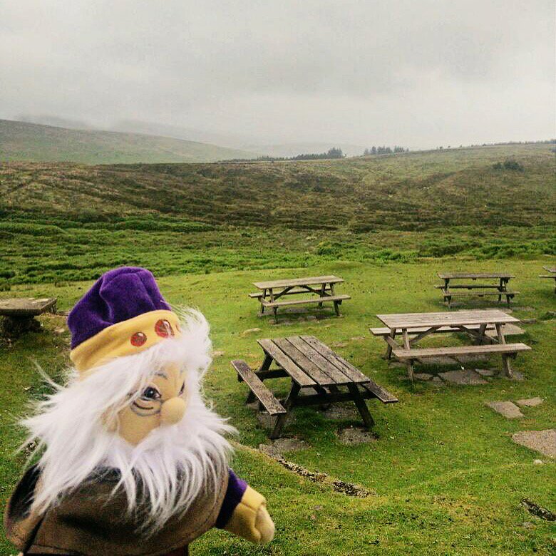 So ein Picknick im Sommer ist doch etwas Schönes – auch wenn sich die britische Sonne manchmal ein wenig zurückhält. #meistercody