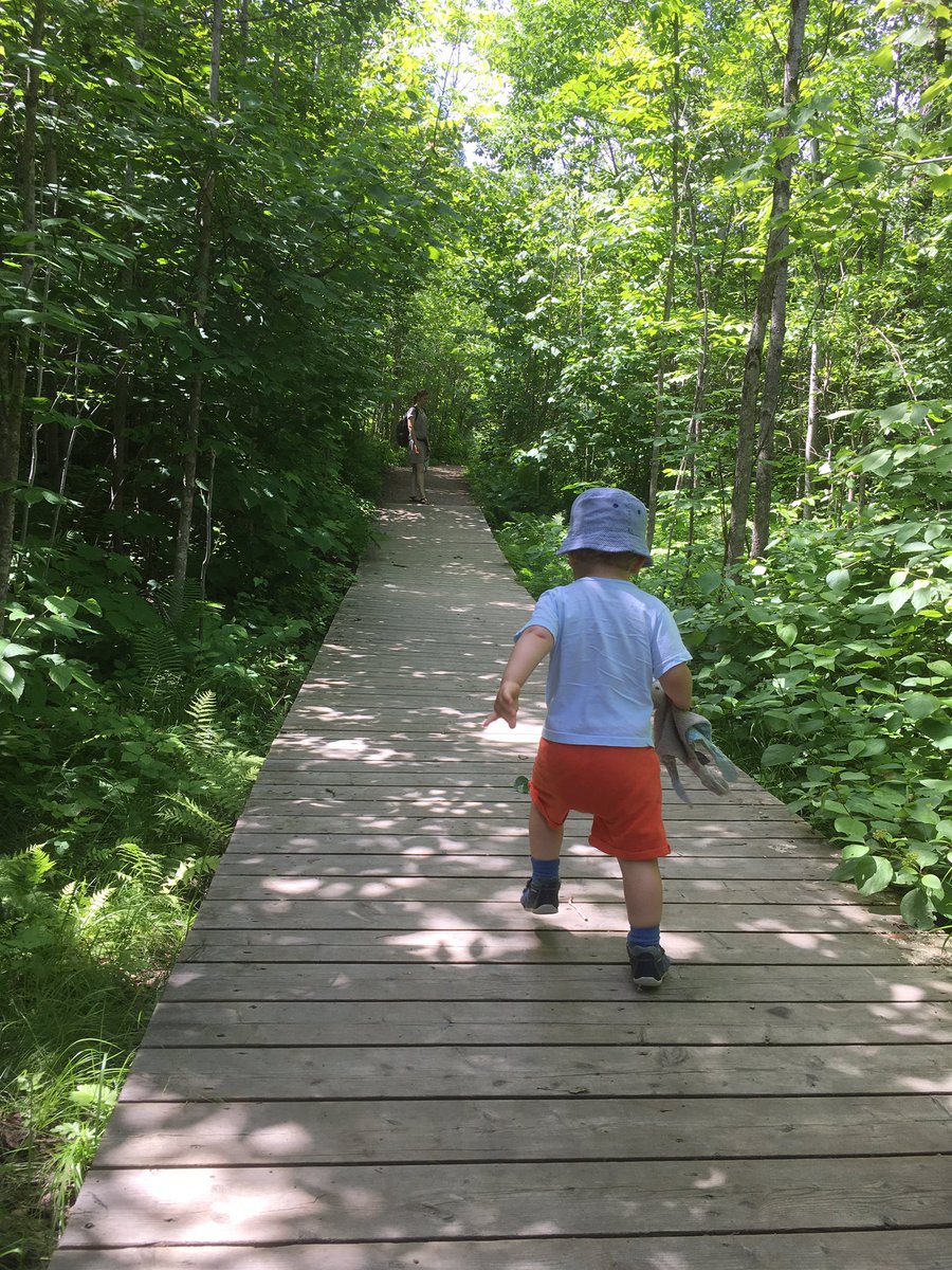 JoyauNicolas's tweet photo. Visite du site de #ValJalbert hier, avec sa chute d'#eau de plus de 70 mètres #LacSaintJean #Québec #Canada 🌲🍁💧 https://t.co/TE4gUTxk0C