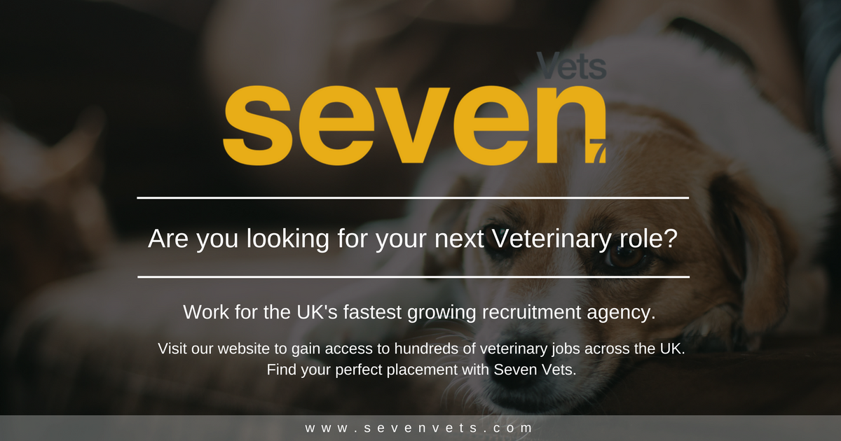James_vpss's tweet photo. We also offer you £250 if you refer a friend to us who we then place into work !! :) #Sevenvets https://t.co/MDj9vEQbK9