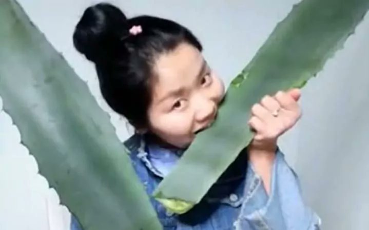 FitoConsulente's tweet photo. https://t.co/u88IN1JtHU #salute #benessere 😳non usate #rimedinaturali se non siete sicuri di cosa siano! #aloevera #agave #Zhang #vlogger https://t.co/iEAlsszCTm
