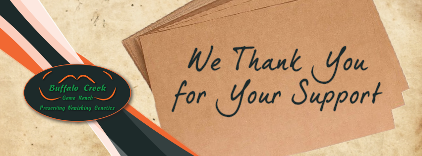 buffalocreekSA's tweet photo. Thank you for your incredible support at the Wildlife Legacy Auction 2017!
#BuffaloCreekGameRanch #WildlifeLegacy #Wildlife #GameBreeding https://t.co/PPZDoq6dxx